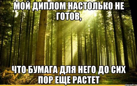 мой диплом настолько не готов, что бумага для него до сих пор еще ...