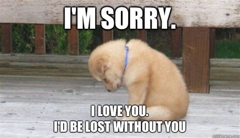 I Love You Meme for Her and Him Cute Funny - Todayz News