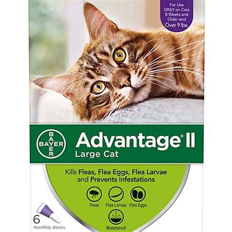 Advantage II Cat & Kitten Flea Drops – Monthly | Petco