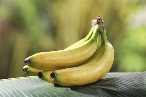 The Relationship Between Potassium and Sodium | livestrong