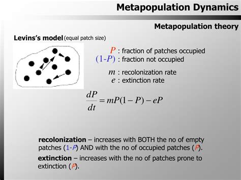 PPT - Metapopulation and Intertrophic Dynamics PowerPoint Presentation ...