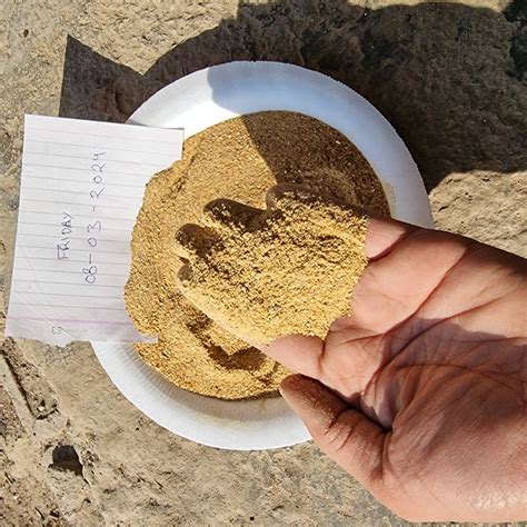 Golden Rice Ddgs, For Animal Feed, Packaging Size : 50 Kg at Rs 18 in ...