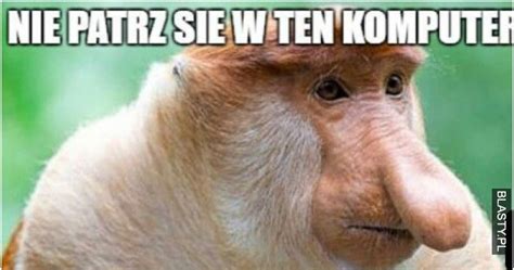 Komputer memy, gify i śmieszne obrazki facebook, tapety, demotywatory ...
