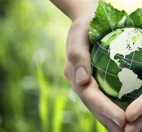 environments classification  ahmedabad id