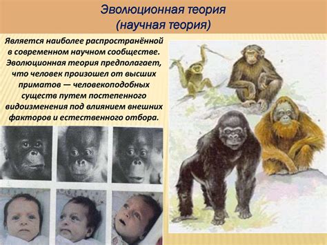 Происхождение человека - презентация онлайн