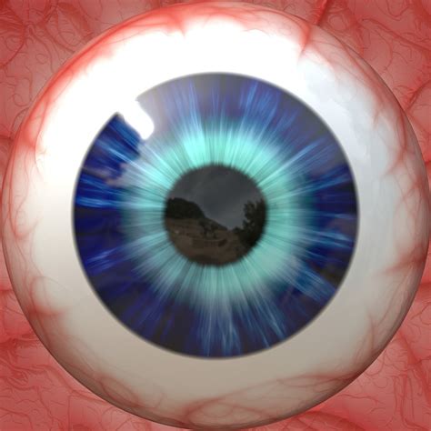 400+ Free Eyeballs & Eye Images - Pixabay
