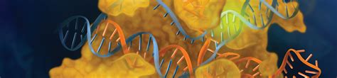Genome Editing | NEB