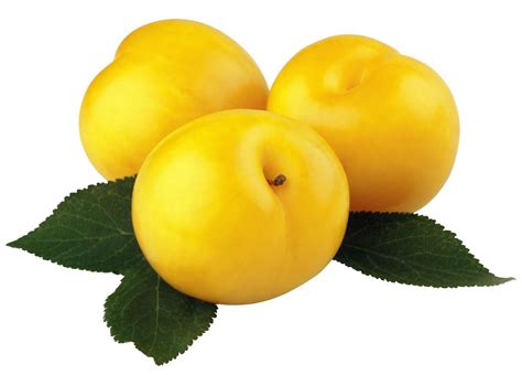 Organic mirabelle prune - CABAZES BIOLÓGICOS