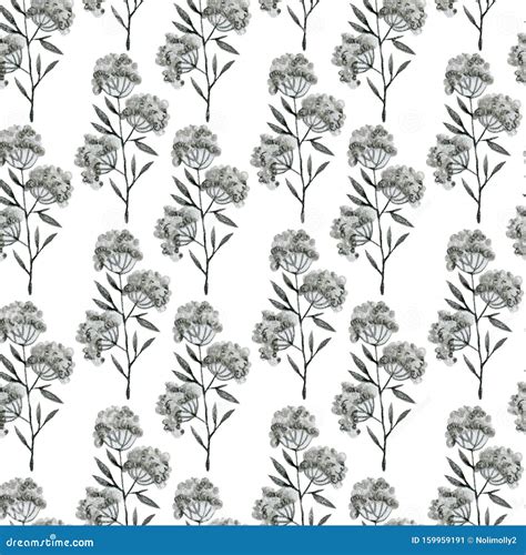 Monochrome Gray Plants, Leaves of Branches and Flowers, Drawing in