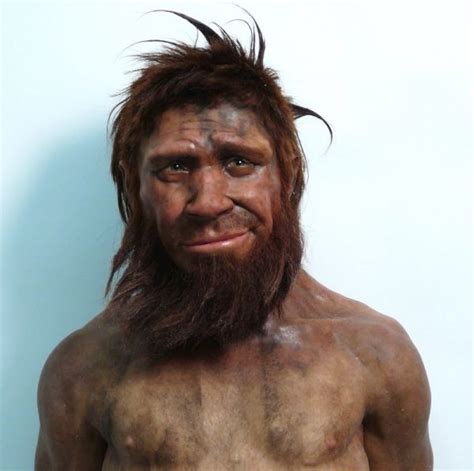 Troglodyte: Full Definition of troglodyte. 1 : a member of any of ...