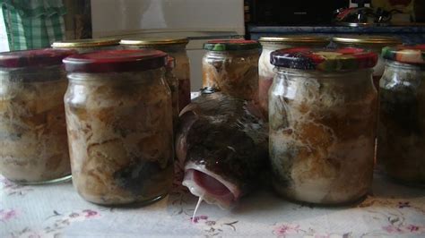 Рыбные консервы в масле в домашних условиях. Вкусно и просто, в ...