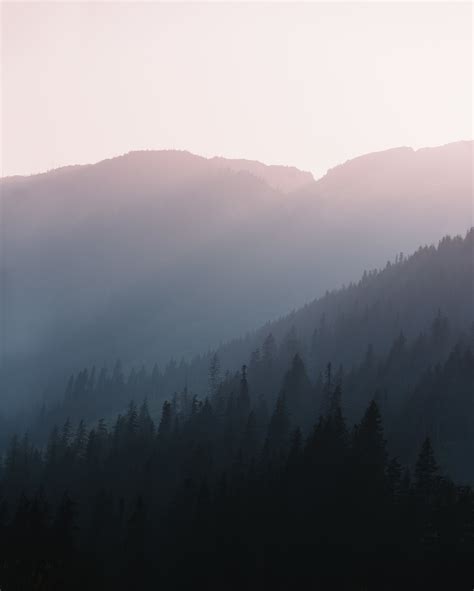 Hazy Days in the Rockies — TASHA MARIE