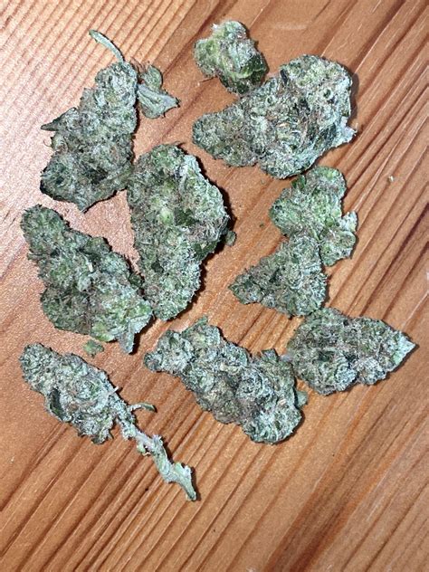 Garlic Gas by Sunshine Cannabis : r/FLMedicalTrees