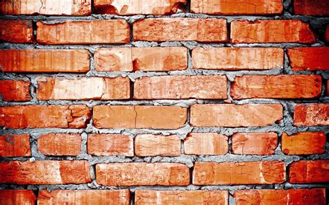 Из чего построить стены: инструкция по выбору материала