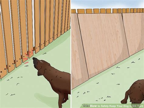 how to keep a dog in the yard