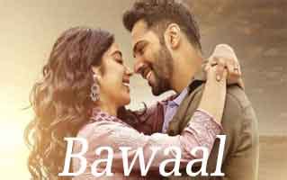 दिल से दिल तक Dil Se Dil Tak Song Lyrics- Bawaal | Micro Lyrics