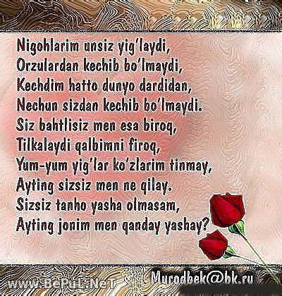 Sherlar Toplami 2013 - serviceb