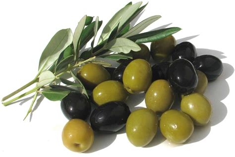 All you need to know- Olive Oil - Cru Cafe