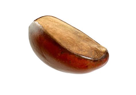 Sheabutter Images – Browse 34 Stock Photos, Vectors, and Video | Adobe ...