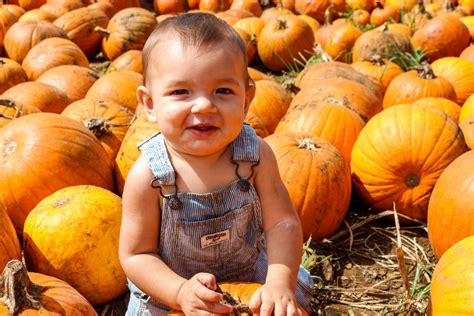 Pumpkin Patches and Fall Festivals on O‘ahu