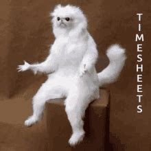 Timecard GIFs 