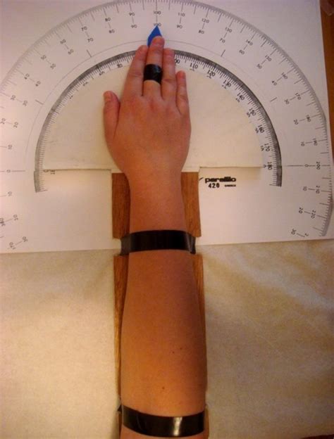 hand   neutral position  scientific diagram