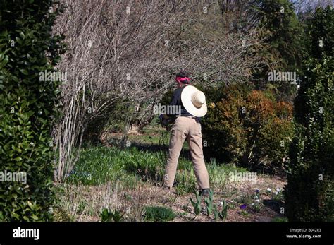 woman garden gardening planting horticulture stock photo alamy
