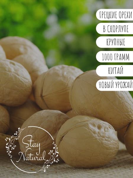 Орехи Грецкие в скорлупе / Китай / STAY NATURAL - купить с доставкой по ...