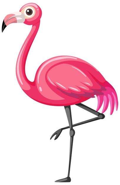 Free clip pink flamingo, Download Free clip pink flamingo png images ...