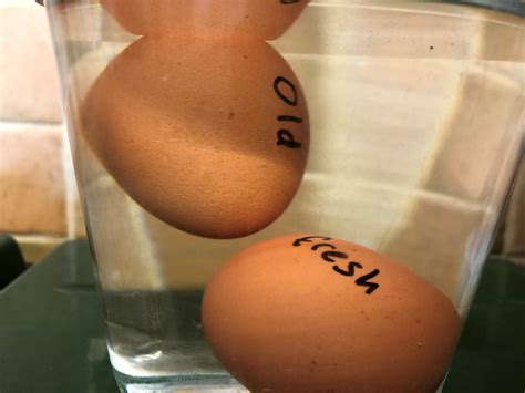 how to test freshness of eggs 7