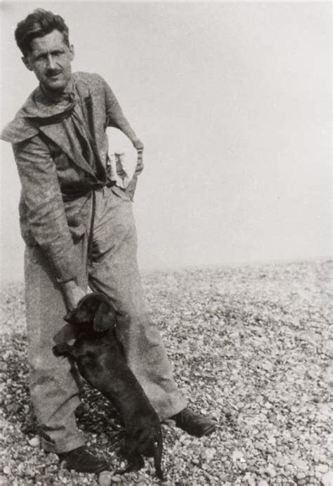 George Orwell Poems > My poetic side