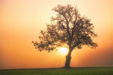 arriving   beginning ming mindfulness