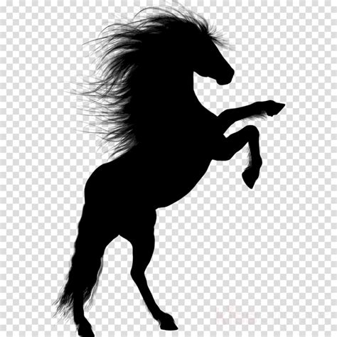 Download High Quality horse clipart black and white stallion Transparent PNG Images - Art Prim ...