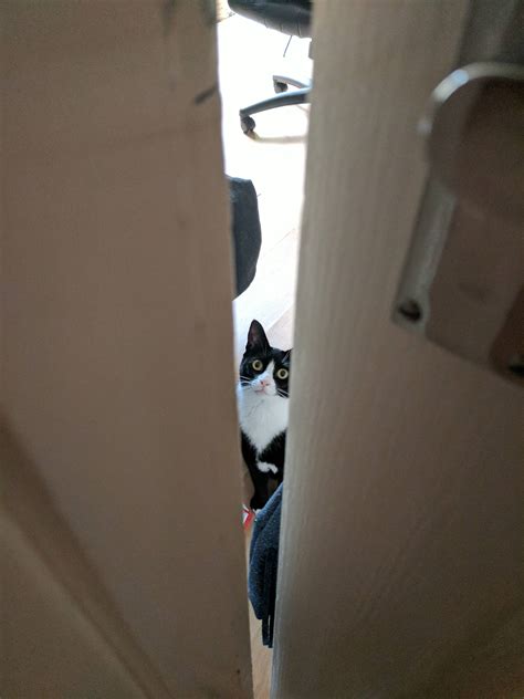 The story behind the lyrics of please release me is heartbreaking 4