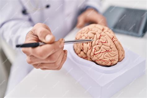 O Que É Um Neurologista - Jovem neurologista apontando para o cérebro trabalhando na clínica ...