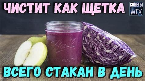 Как очистить организм с помощью краснокочанной капусты в домашних ...