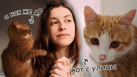 ВЗЯЛИ КОТА С УЛИЦЫ / как приютить кота - YouTube