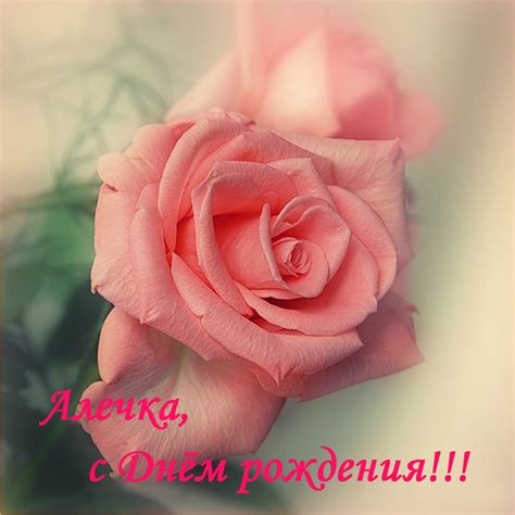 Открытки с Днем рождения Алевтина - скачать бесплатно