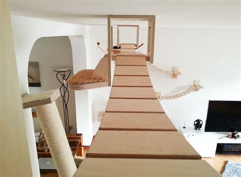 Cat Bridge DIY: An Enriching and Stimulating Environment for Your Indoor Cat - Cat Loaf | Kitty Loaf