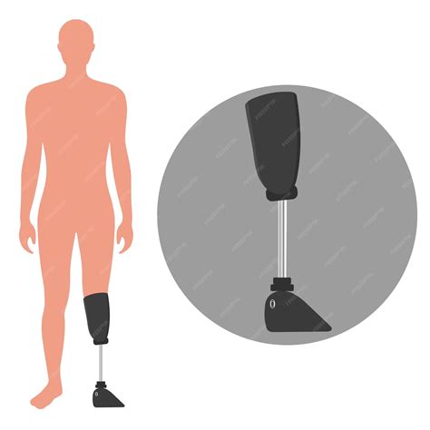 Premium Vector | Artificial limb leg zoom