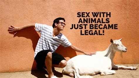 sex  animals   legal youtube