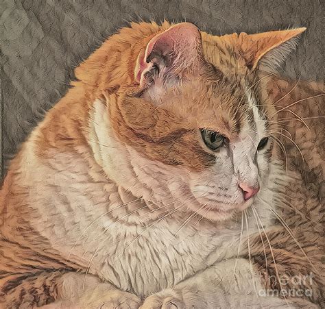 Yellow Cat Sketch 2 Digital Art by Scott Polley - Fine Art America