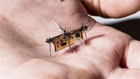 RoboFly Insect Sized Robot That Can Fly, Walk And Roam On Water Surfaces - Big Technology Trends