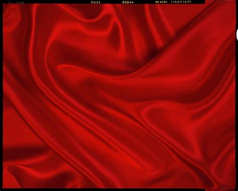 Premium Photo | Red theme