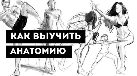 Как нарисовать любую позу 🌸 Как выучить анатомию? 💕 - YouTube