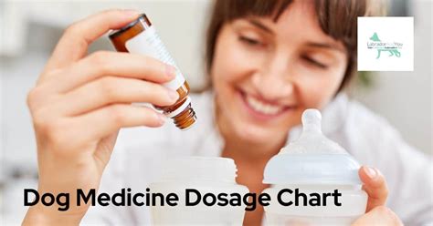 Complete Dog Medicine Dosage Chart Declassified