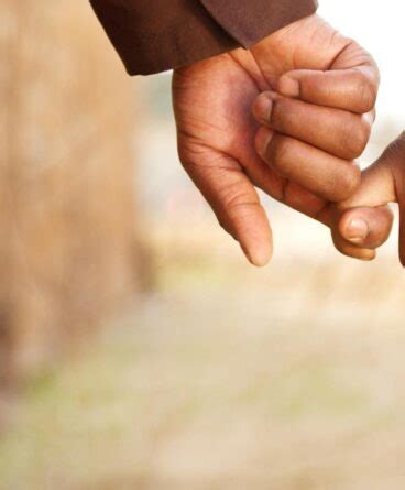 apego tudo sobre apego escola educacao