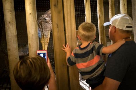 Inside Ark Encounter, a Christian fundamentalist replica of Noah's Ark ...