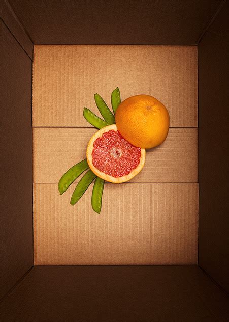 boxed  behance