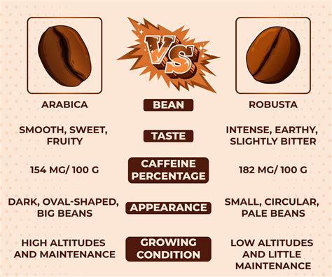 Brewing Coffee With a Percolator: Best Coffee to Use & More – CAFELY